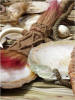 Yapese Traditional Shell Money