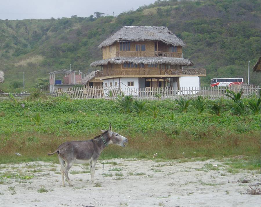 ecuador cruising guides